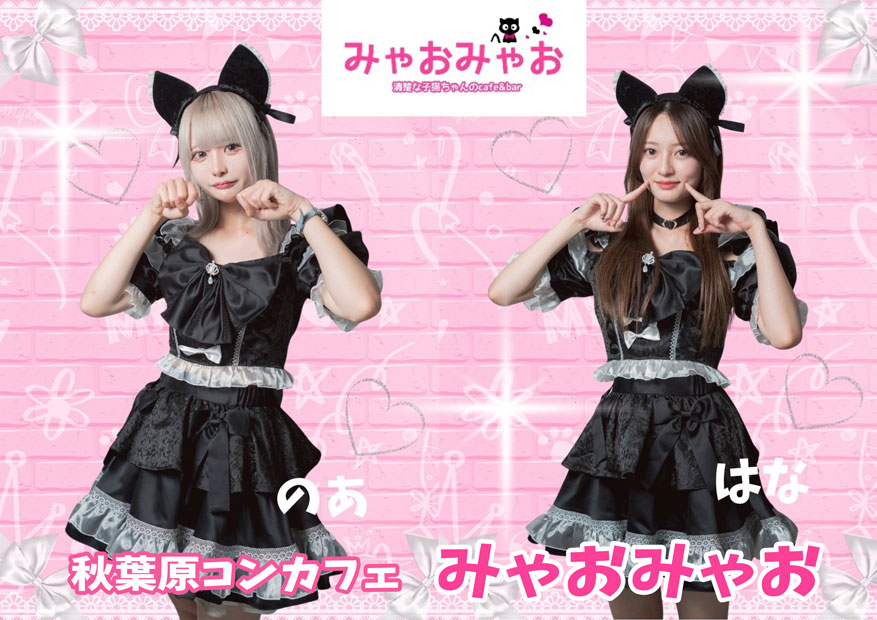 コンカフェ・メイド実績.733