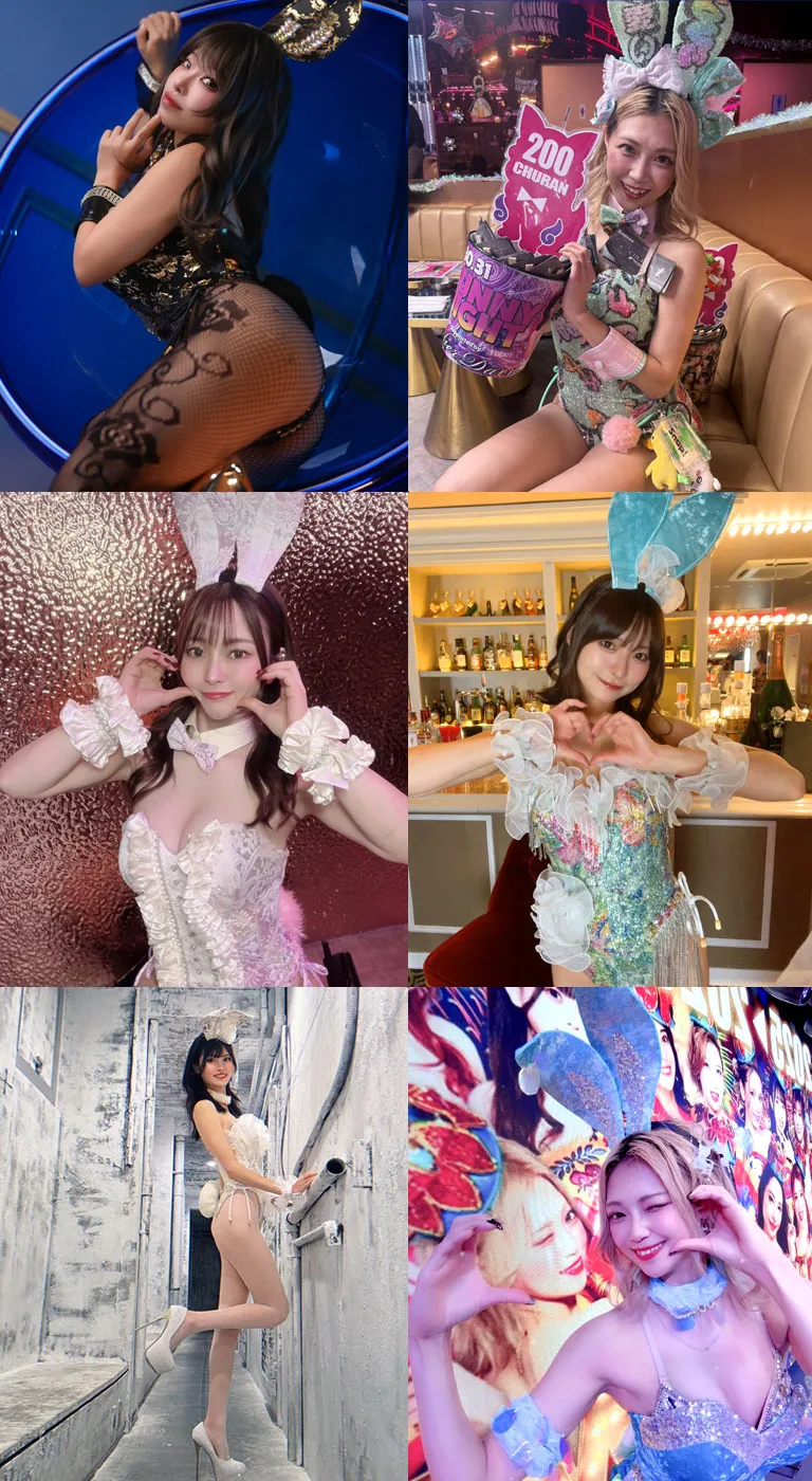 2025 collection No.2